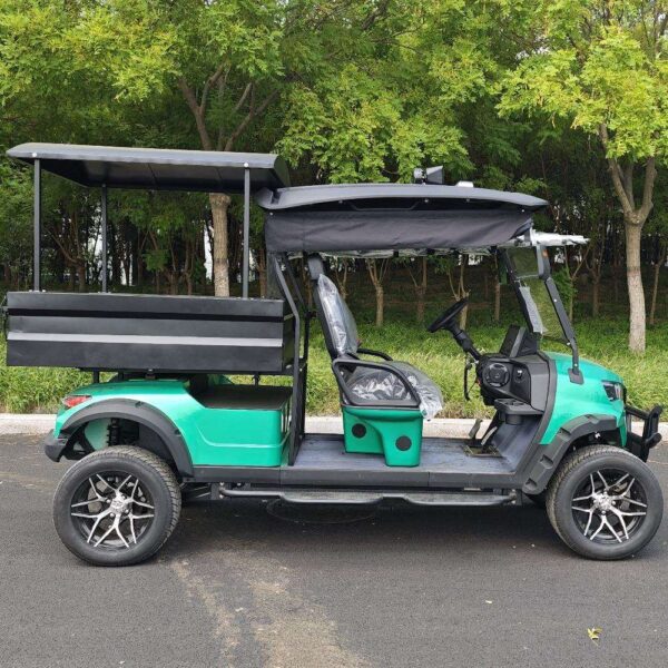 BFF Kepler The highest quality golf carts - 图片 3