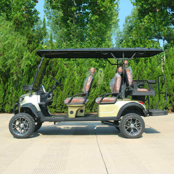 BFF Kepler The highest quality golf carts - 图片 3