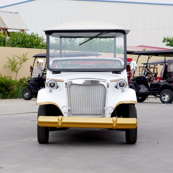 BFF Kepler's highest quality vintage car - 图片 5