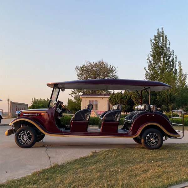 BFF Kepler's highest quality vintage car - 图片 3