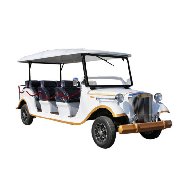 BFF Kepler's highest quality vintage car - 图片 5