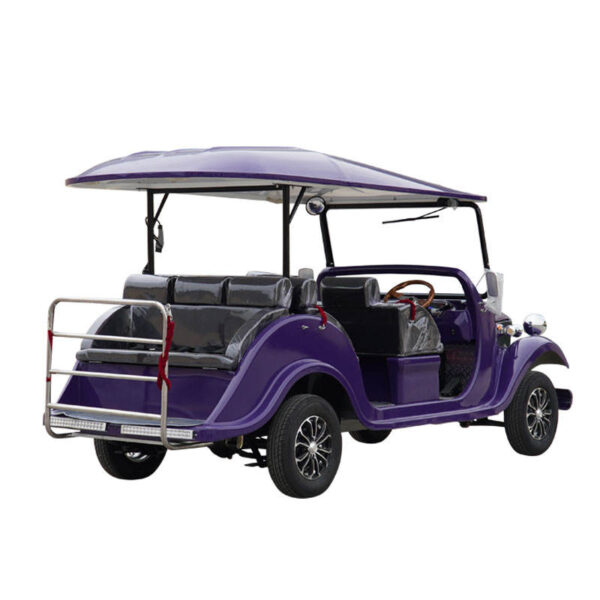 BFF Kepler's highest quality vintage car - 图片 5