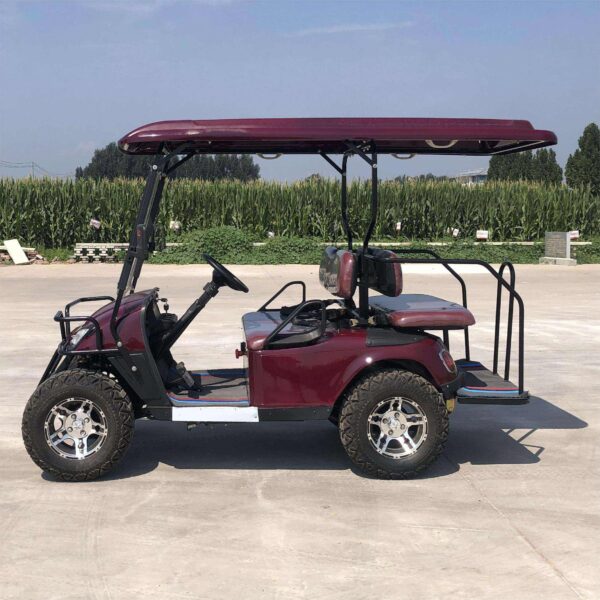 BFF Kepler The highest quality golf carts - 图片 4