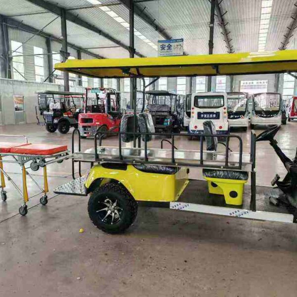 BFF Kepler The highest quality golf carts - 图片 4