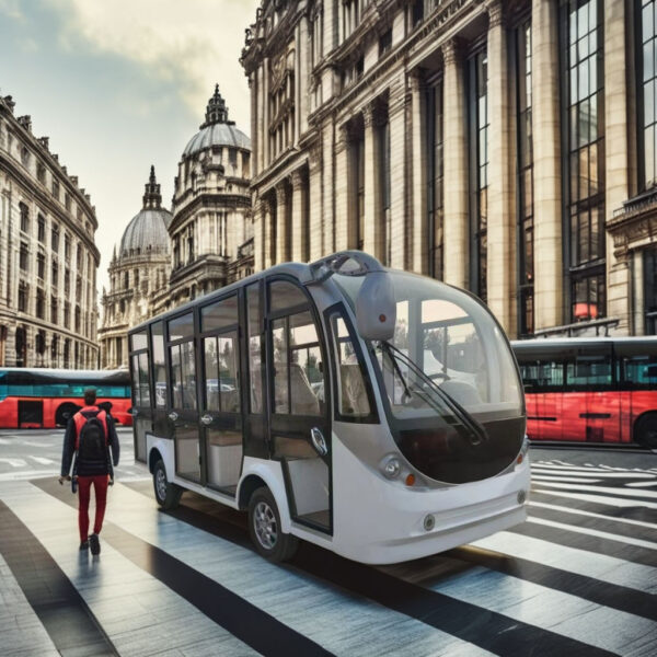 BFF Kepler's Highest Quality Sightseeing Bus - 图片 6