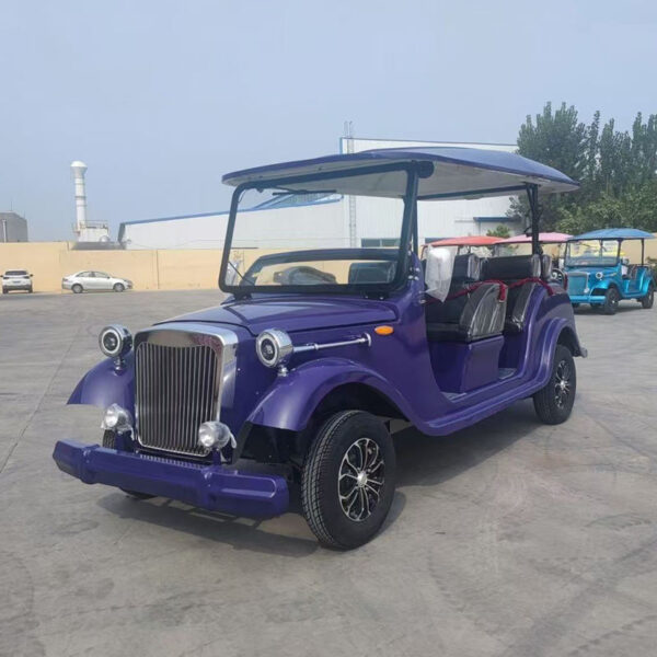 BFF Kepler's highest quality vintage car - 图片 6
