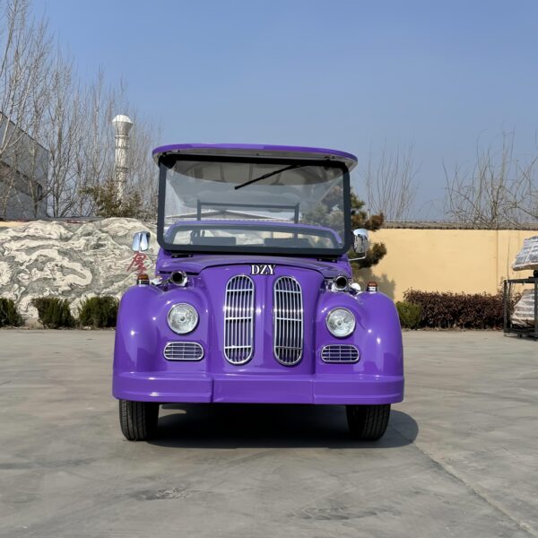 BFF Kepler's highest quality vintage car - 图片 6
