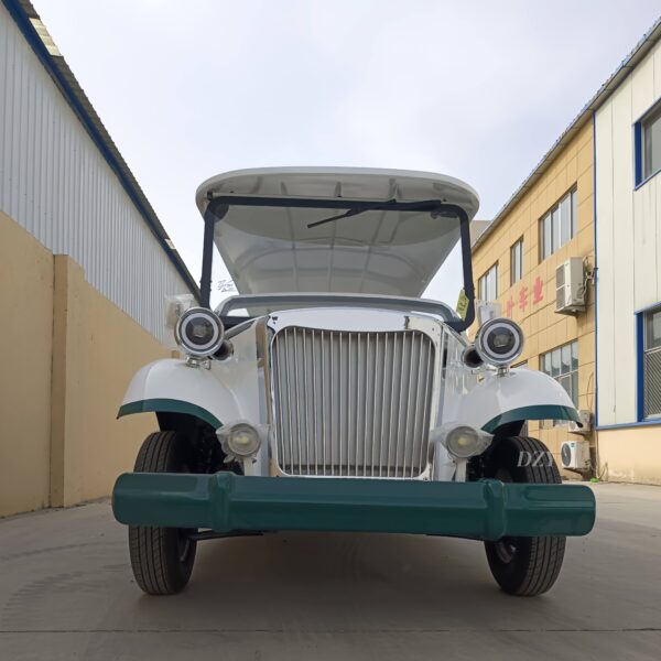 BFF Kepler's highest quality vintage car - 图片 5