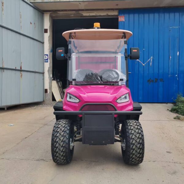BFF Kepler Golf Cart China Factory Delivery - 图片 4