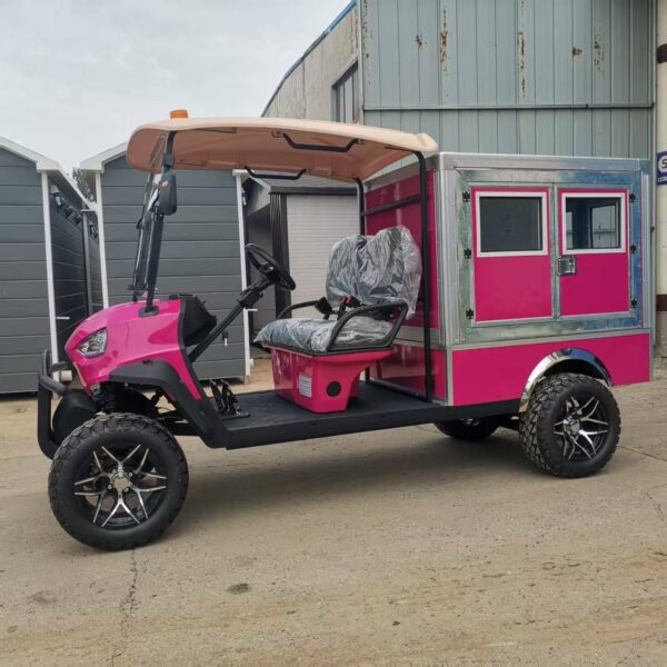 BFF Kepler Golf Cart China Factory Delivery - 图片 8
