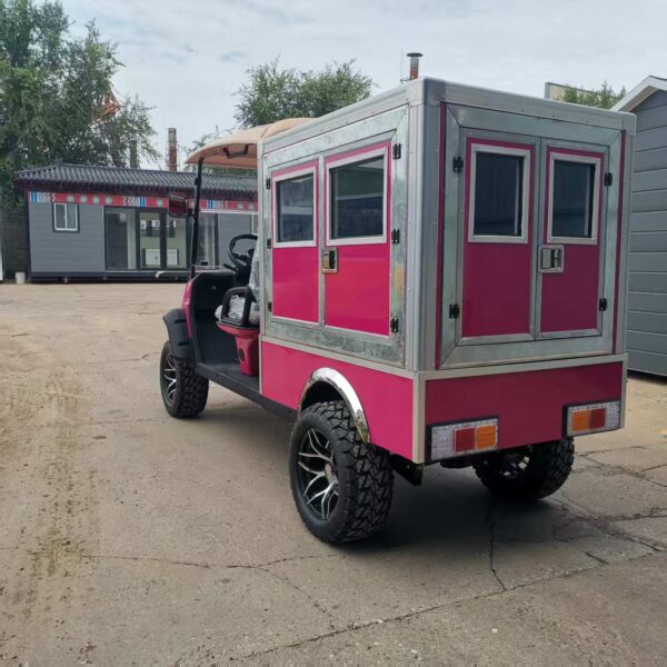 BFF Kepler Golf Cart China Factory Delivery - 图片 5