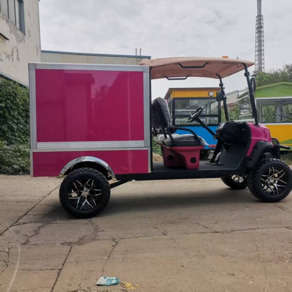 BFF Kepler Golf Cart China Factory Delivery - 图片 2