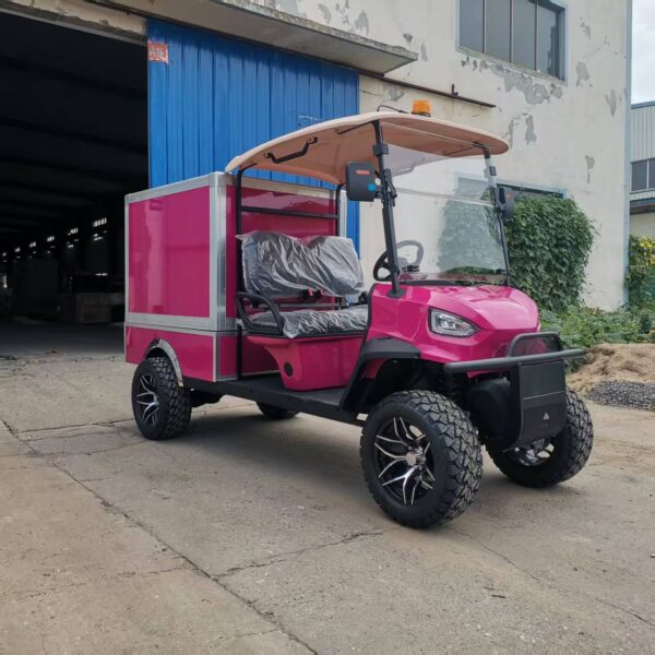 BFF Kepler Golf Cart China Factory Delivery - 图片 3